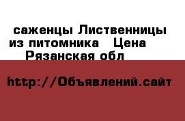 саженцы Лиственницы из питомника › Цена ­ 45 - Рязанская обл.  »    